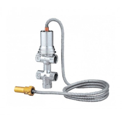0020049308 Клапан безопасности Caleffi 554 для DLO